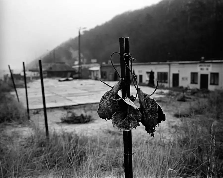 29.12.09 Międzyzdroje Holga