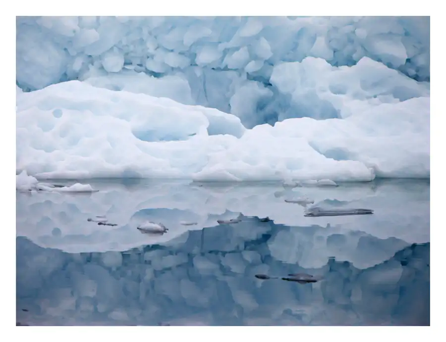 Greenland_Jun12_IceTour1_231