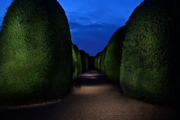 Whispers by Emmanuelle Bousquet