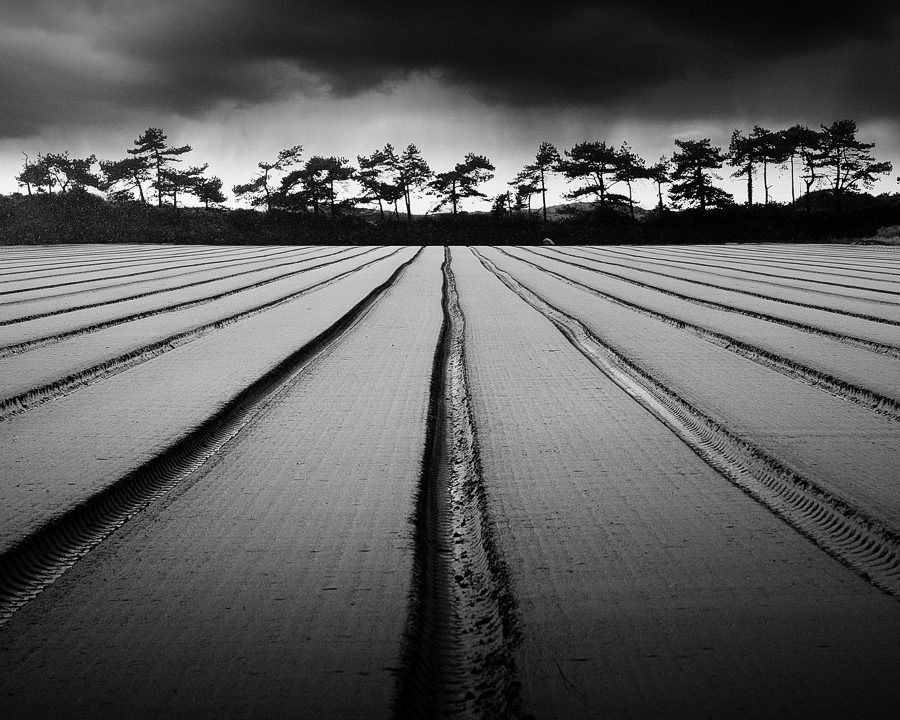 A personal vision of Normandy; Against Wind and Tide by Nicolas Evariste