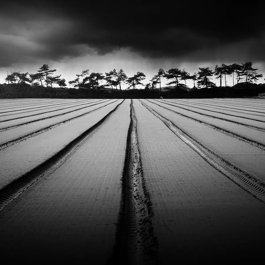 A personal vision of Normandy; Against Wind and Tide by Nicolas Evariste