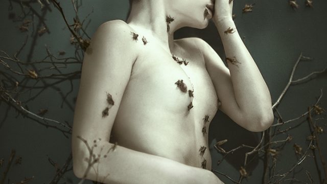 Forgotten by Maria Svarbova