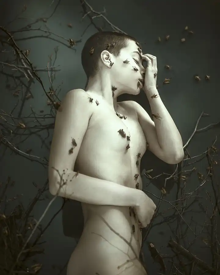 Forgotten by Maria Svarbova