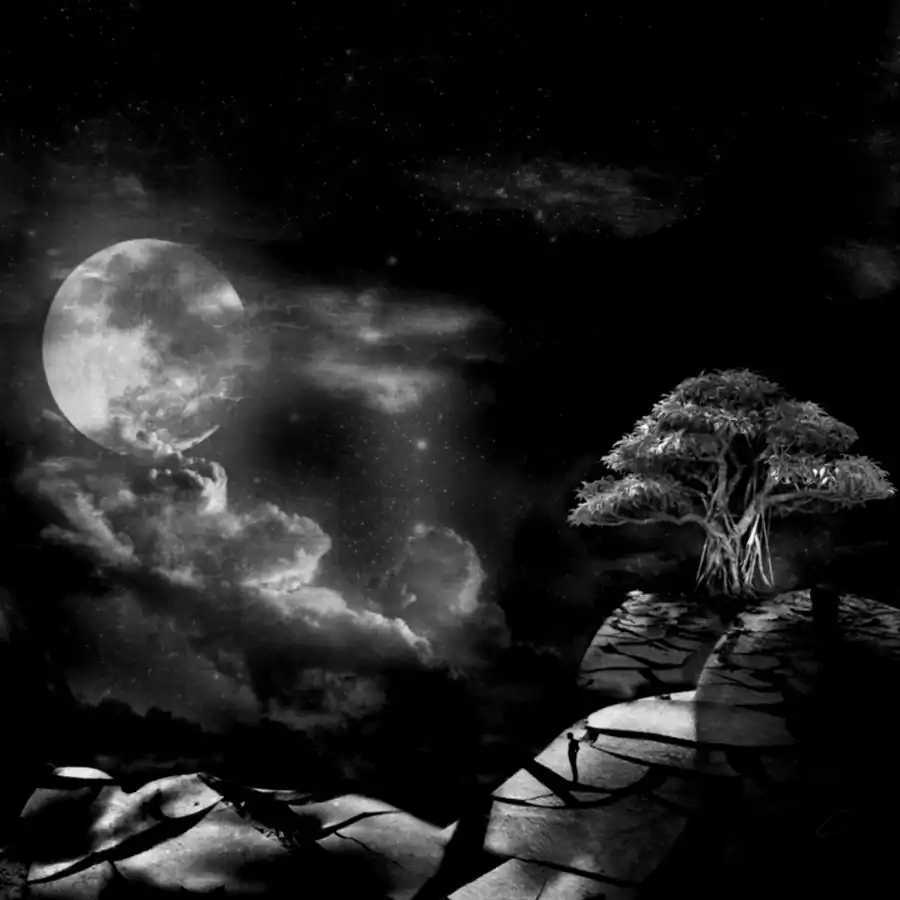 Gaia by Jérémy Clausse