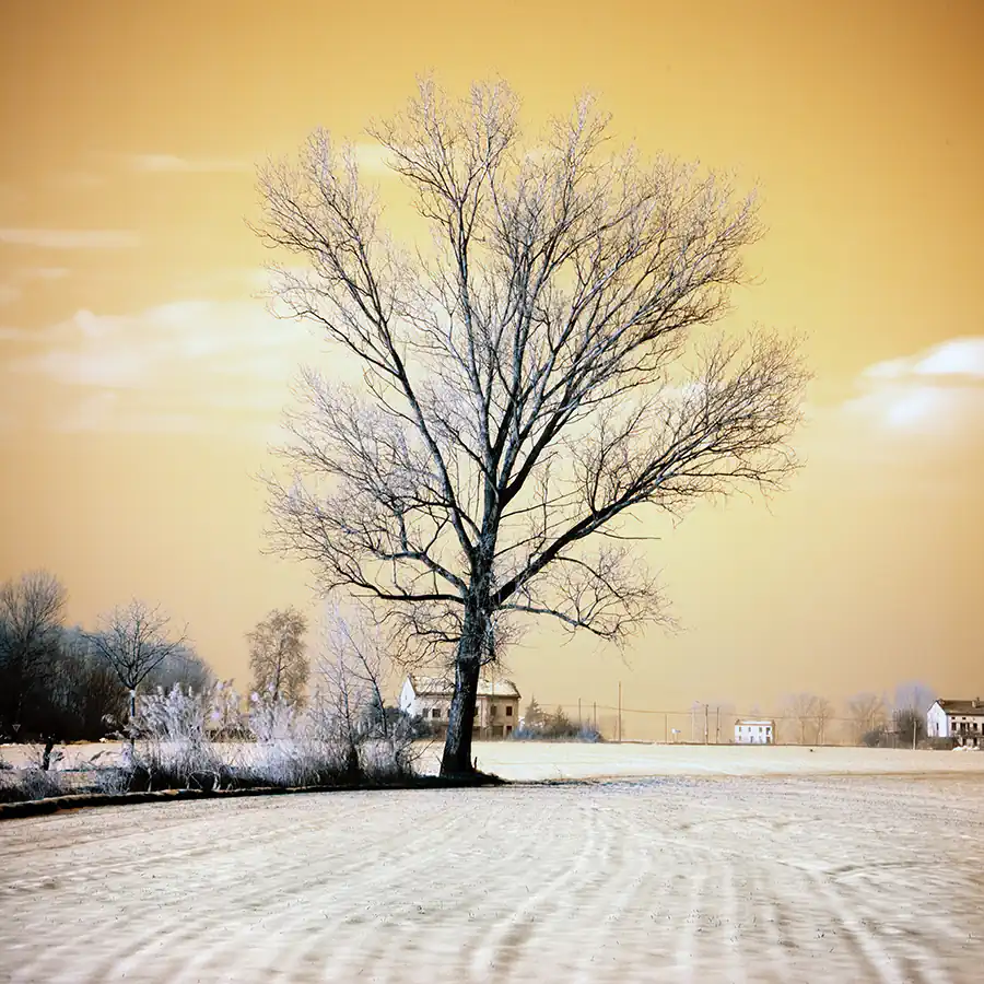 Infrared Long Exposure Photography by Fine Art Photographer Simone Zeffiro