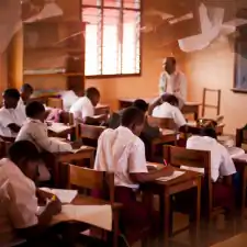 Warren Zelman Photography