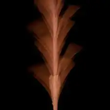 Anisoptera scaphula seed in motion