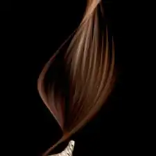 Black locust seed in motion