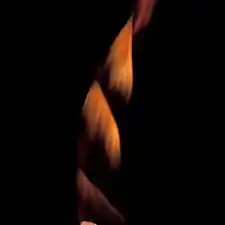 Couratani guianensis seed in motion