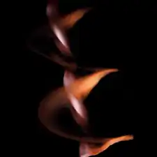 Mahogany swietenia seed in motion