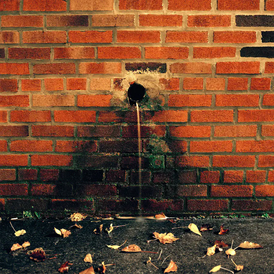 New York; Gowanus Wild by Miska Draskoczy