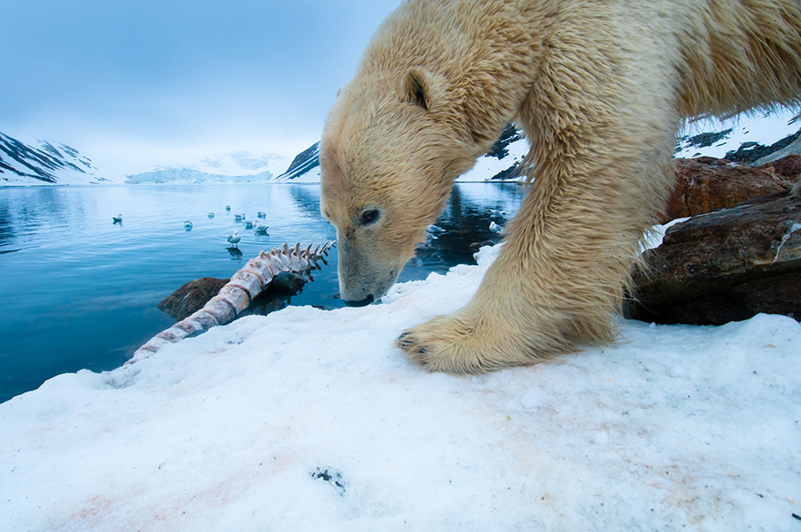 FlorianSchulz_Nature1stPlace2014