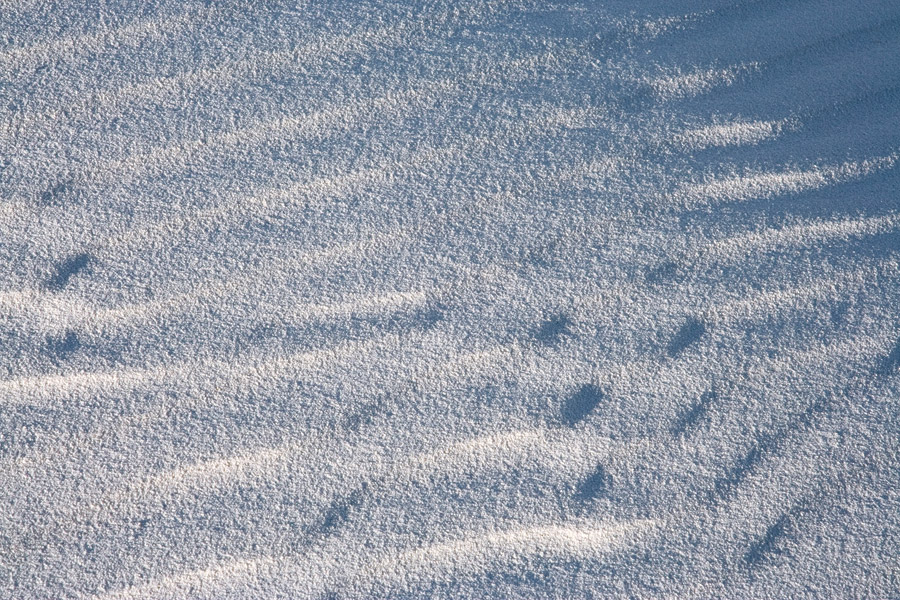13_WhiteSands_25