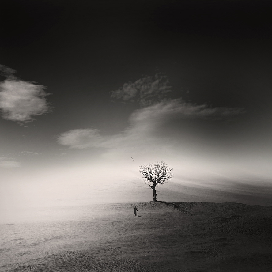 21 George Christakis