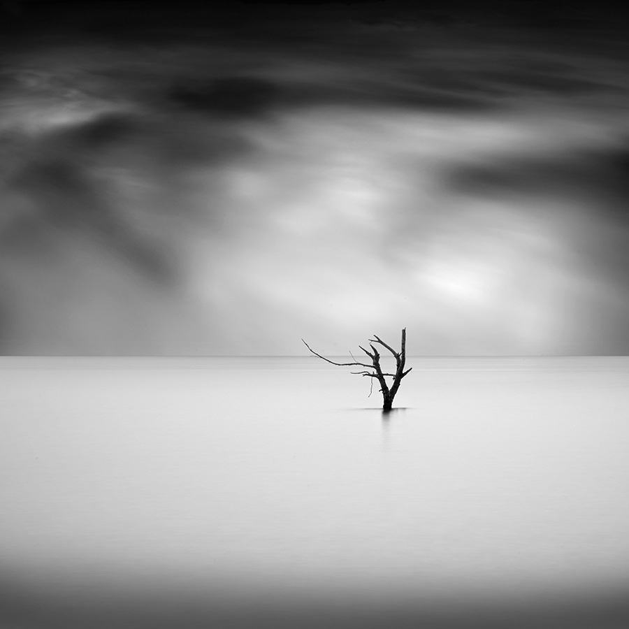 _DSC0752 II George Digalakis