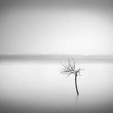 _DSC1411 George Digalakis