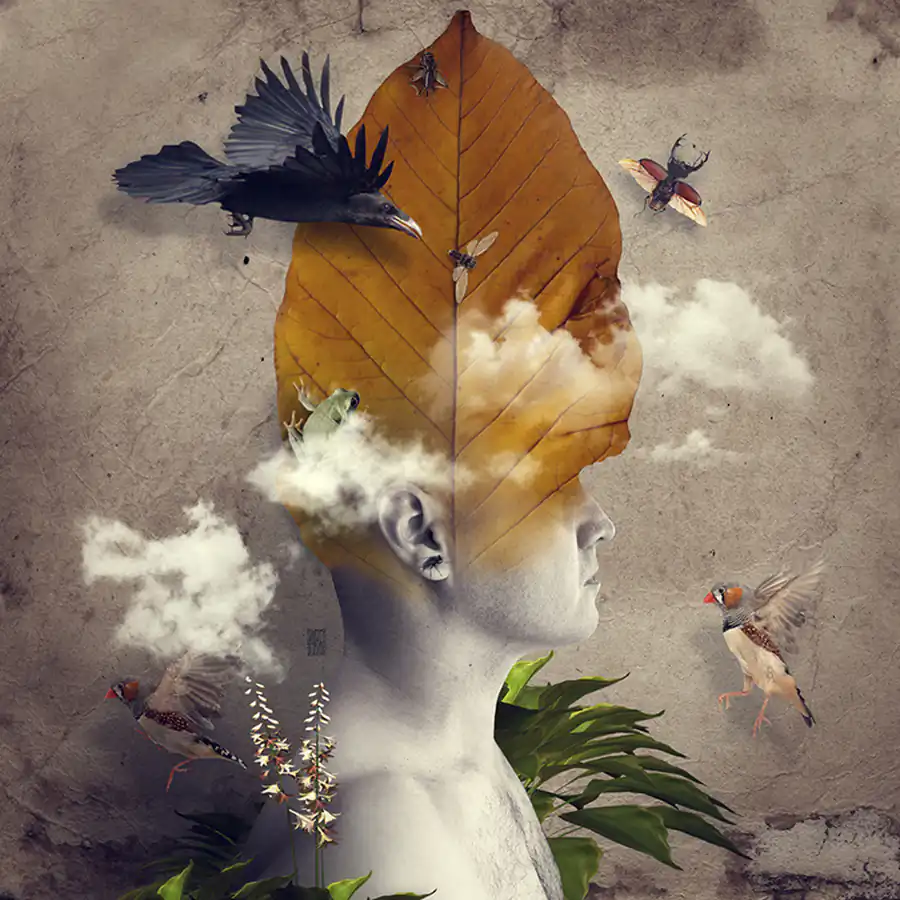 Imaginary worlds; Symbiosis by Andrea Costantini