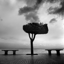 rain Mitar Terzic