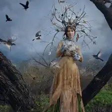 The Court Of The Dryad Queen