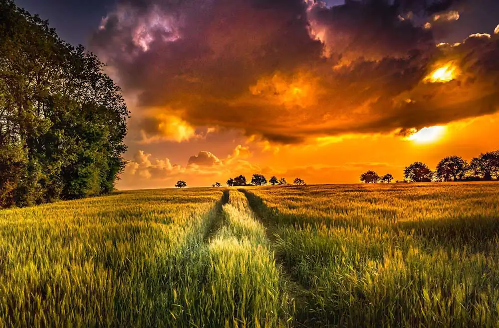 Gurushots: Epic Sunsets