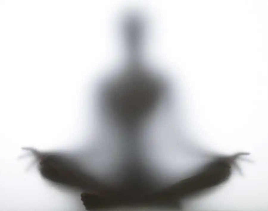 Human body; Presences by Floriane de Lassée