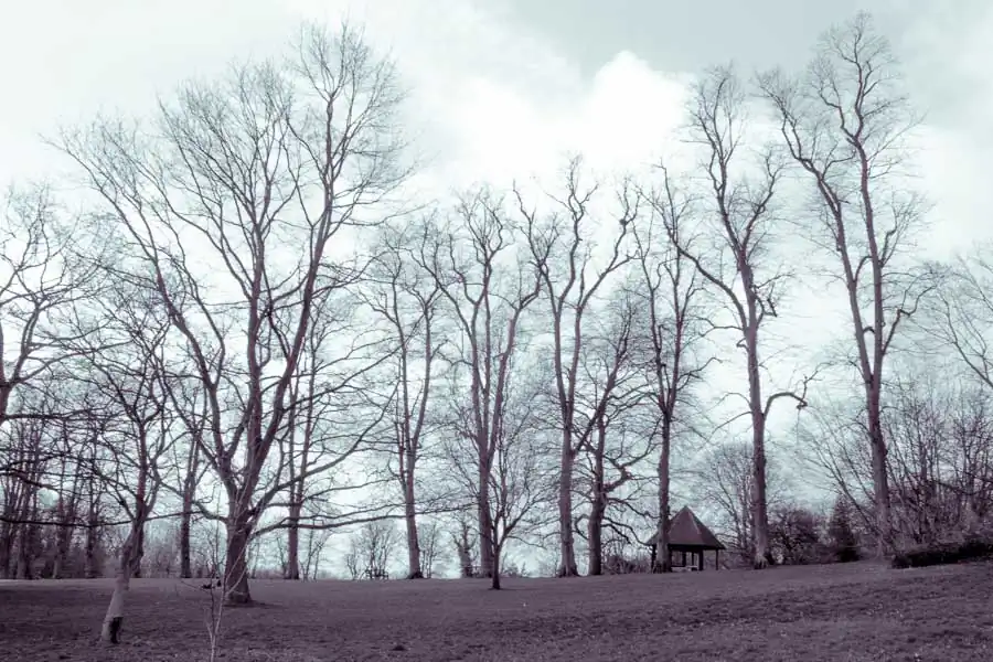 Anastasia- DodhoSUBMISSION (10 of 13)