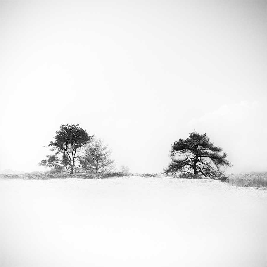 Gittan_Beheydt_Winter Trees II