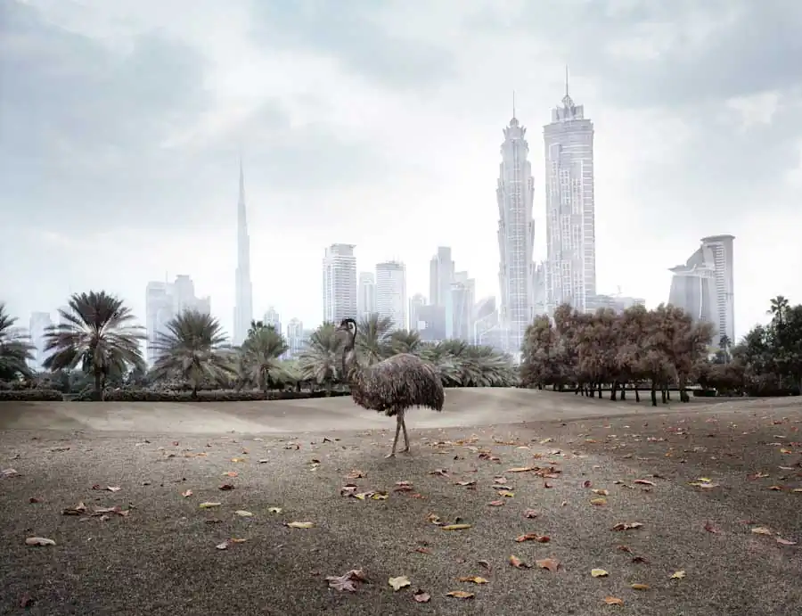 Dubai: Abandoned by Richard Allenby