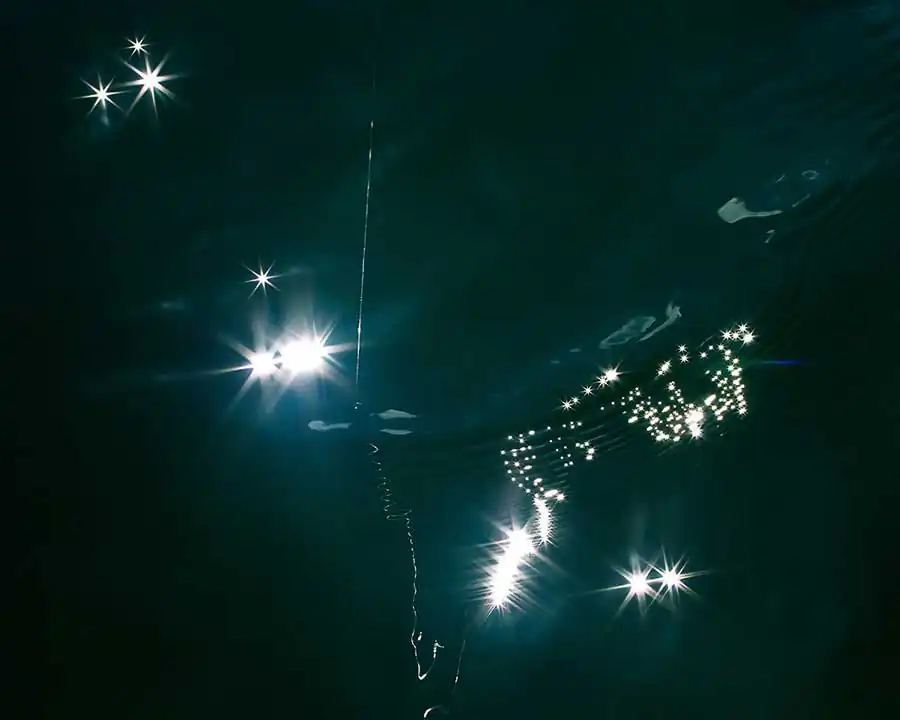 Teeth of the Sea by Maggie Shannon