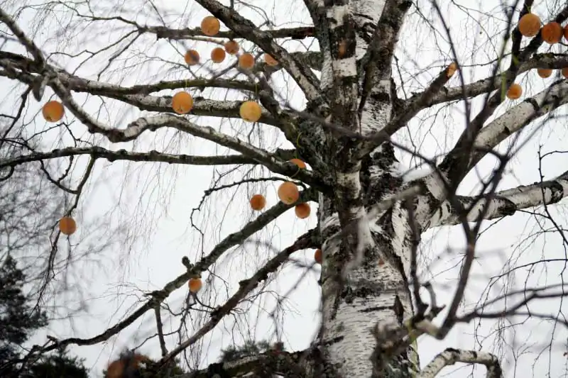 19_Ekaterina_Vasilyeva