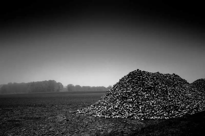 Jean-Pierre Duvergé : Vexin 2015