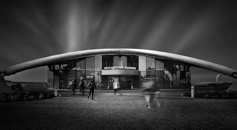 Kerstin_Arnemann_The Paradox of Freedom