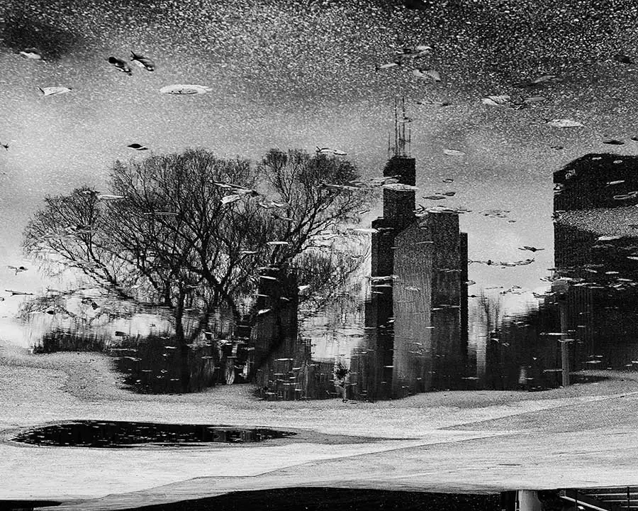 Chicago through the Looking Glass by Steve Geer