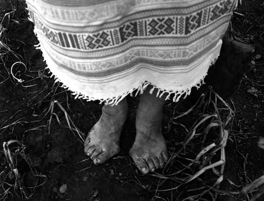 Fertility by Ani Zur