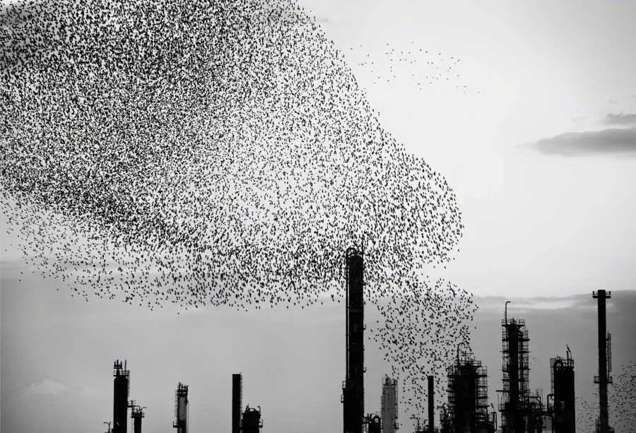 Harmonies; Refinery Flocks by Massimo Cristaldi