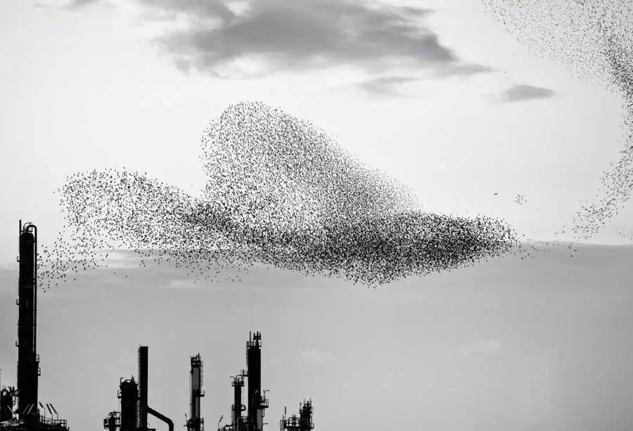 Refinery Triptych 03 Massimo Cristaldi