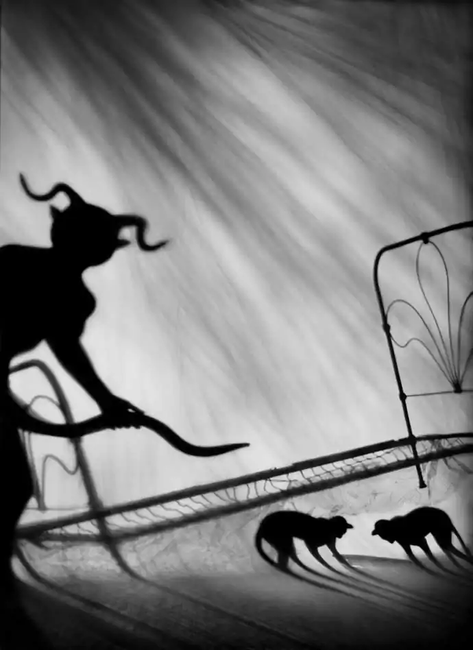 Psychological aspects of dreams; Night Journey by Susan kae Grant