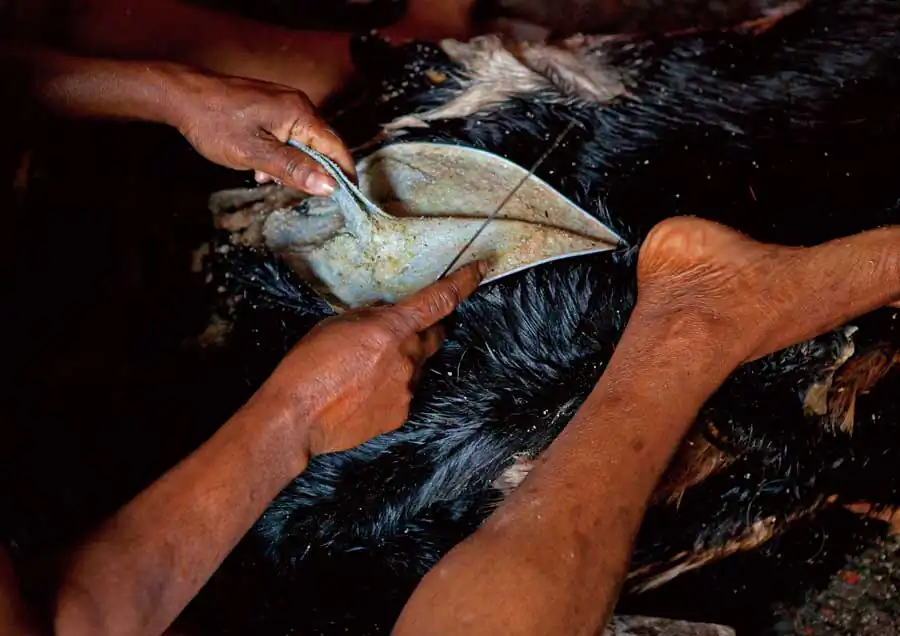 Journalism 04 Kosuke Ryujin