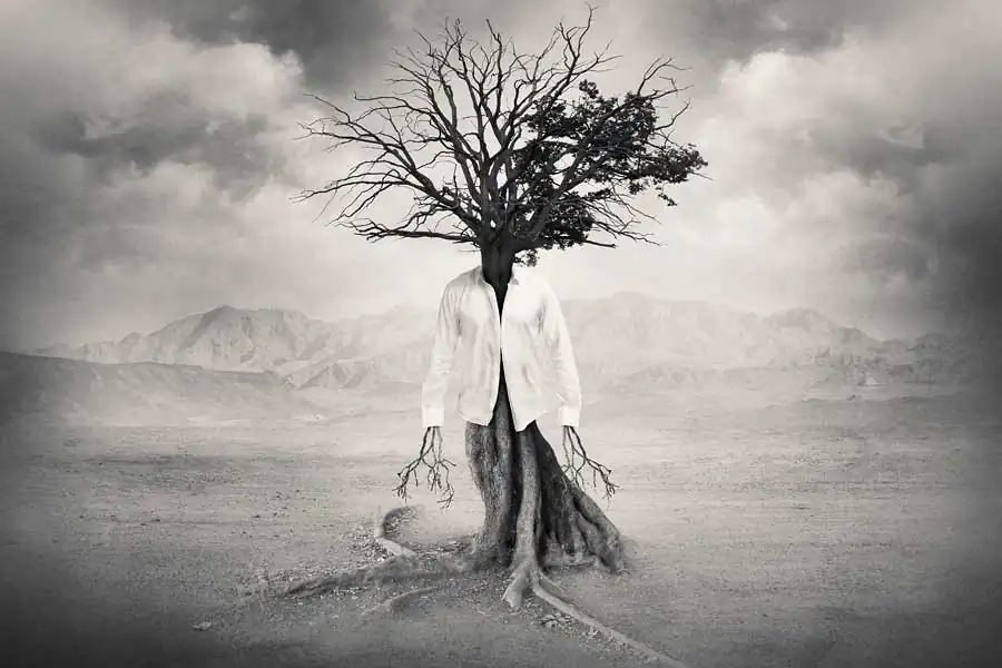 Tommy Ingberg : Photography and Surrealism 120716cr02