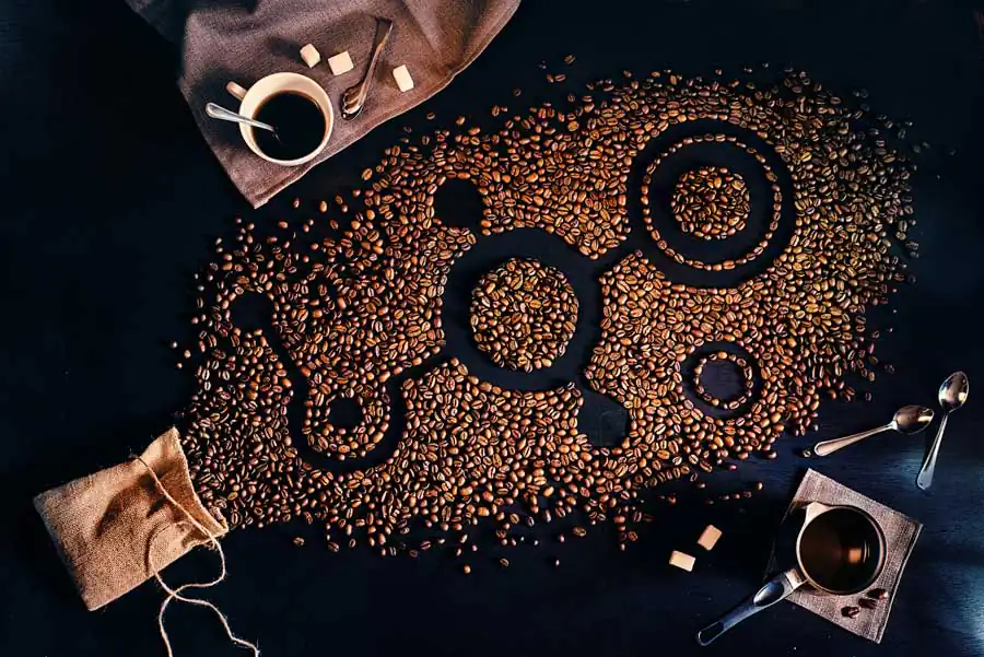 Coffee Harvest (Endless Book)