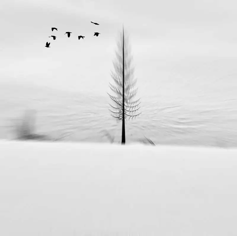 Interpretative narrative; Dreamland by Carmelita Iezzi