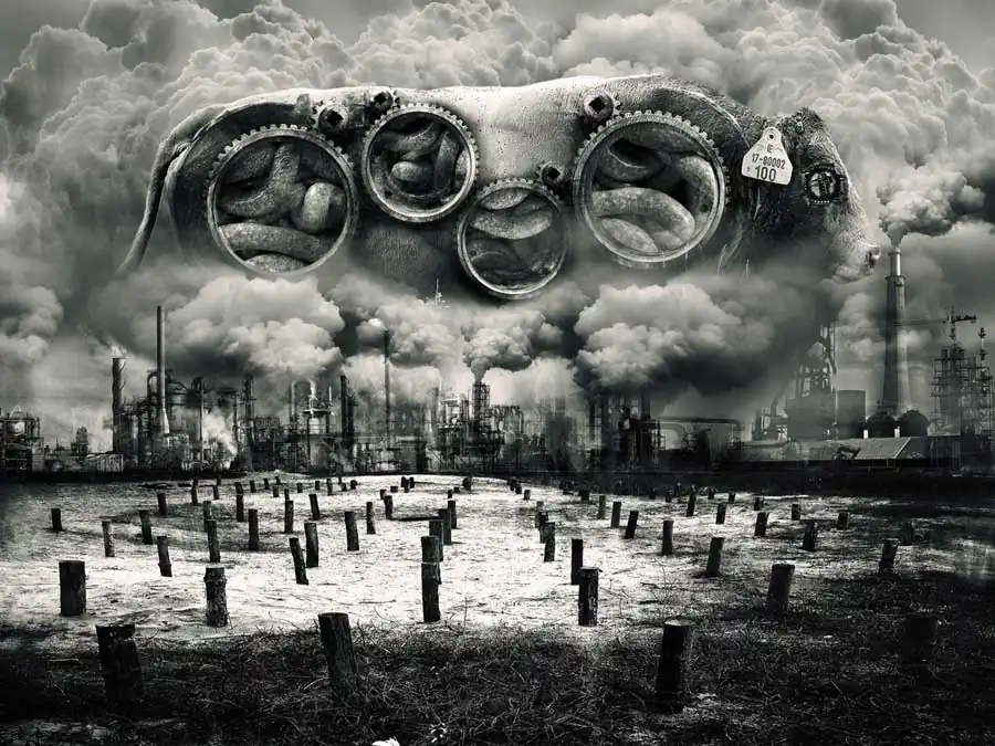 Paradise Lost / Marcin Owczarek