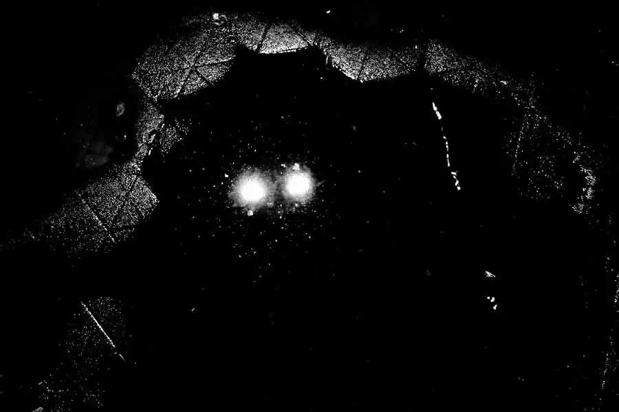 Recollecting Dreams by Aji Susanto Anom