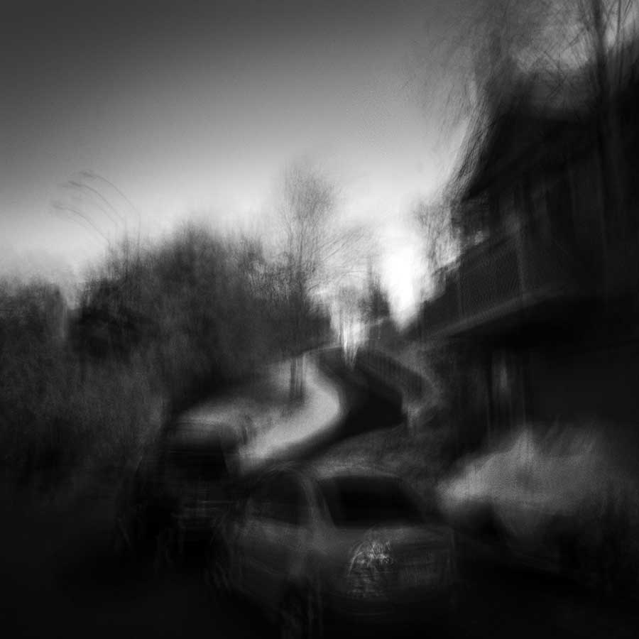 Suburban Observations by Nathan Wirth