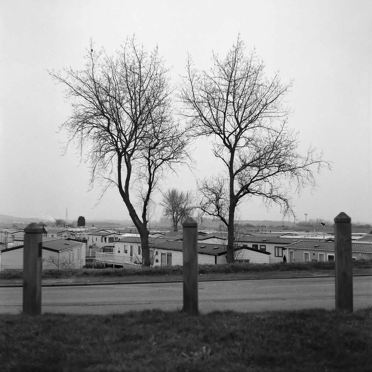 Ekaterina_Vasilyeva_06