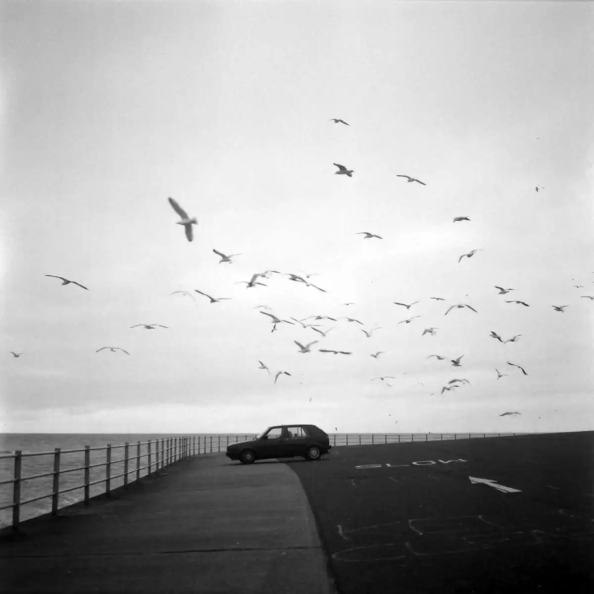 Ekaterina_Vasilyeva_09