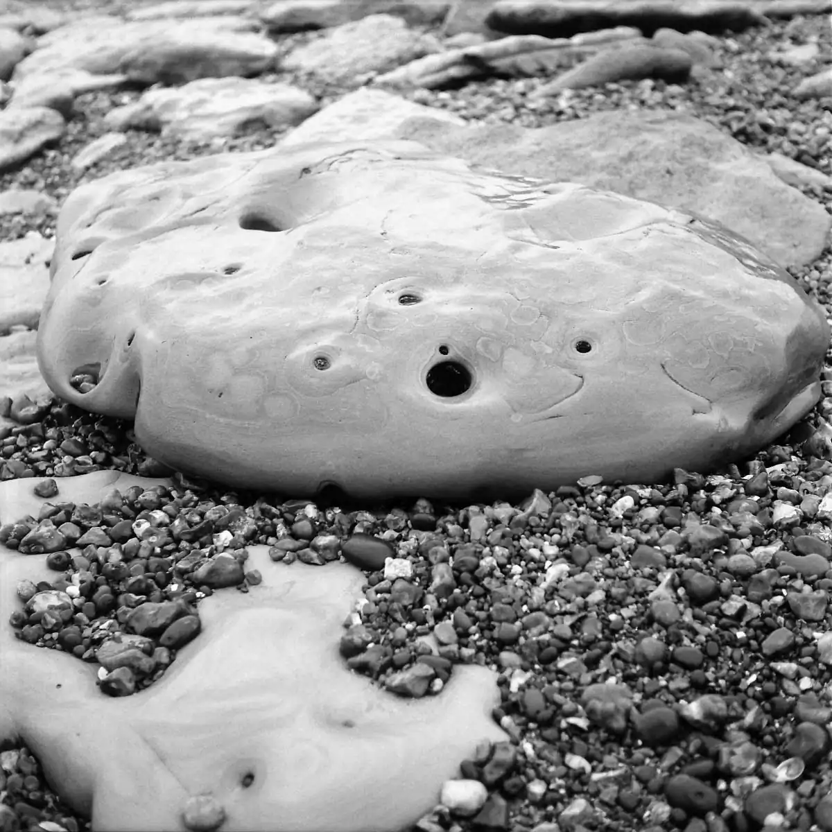 Ekaterina_Vasilyeva_12