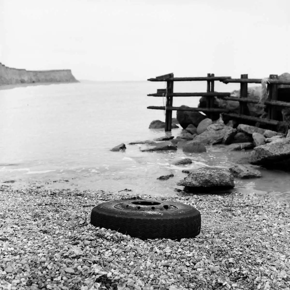 Ekaterina_Vasilyeva_13