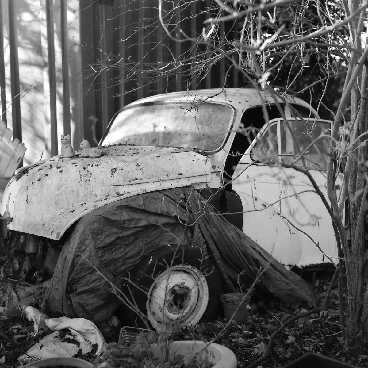 Ekaterina_Vasilyeva_14