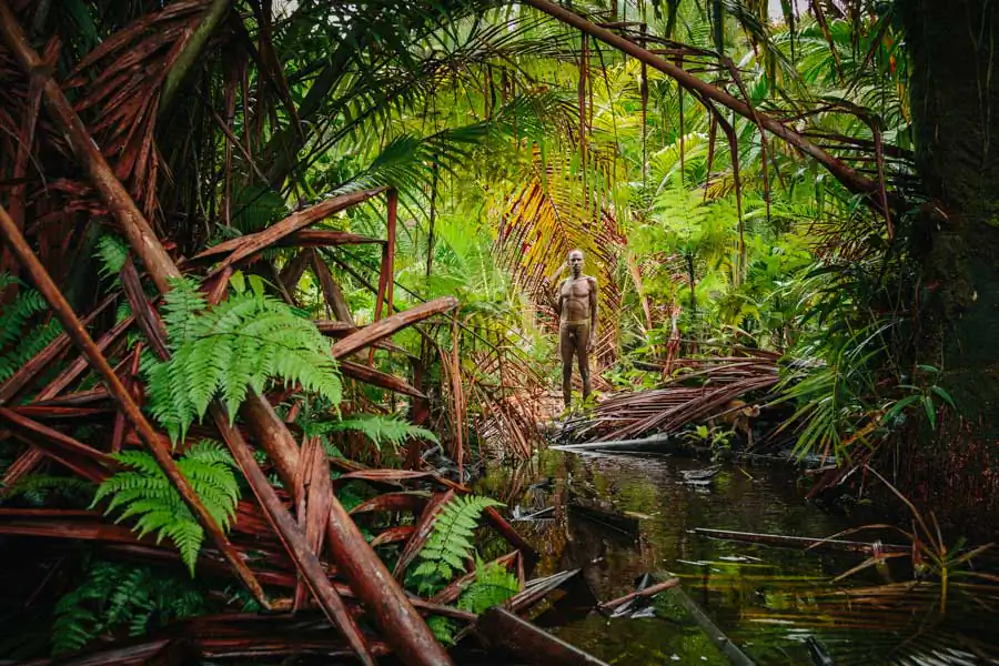 Jungle of Papua; Korowais by Martin Gros